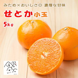 せとか 訳あり5kg 小玉S-M みため×おいしさ◎ お買得品 セール 箱買い お取り寄せ 産地直送【送料無料※北海道・沖縄は除く】