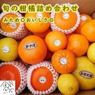 旬の柑橘詰め合わせ 秀品 みため〇おいしさ◎ お歳暮 年始 福袋 産地直送 愛媛県産 3種類以上の柑橘入り …