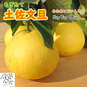 \10OFFN[| bL[ ēyU 󂠂 5kg 9kg 18kg ݂× ㊮n͔| Y_ƒ Z[ Q쒬Yyz