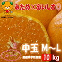 ★愛媛みかん★訳あり 中玉M〜L 10kg みため×おいしさ◎(温州みかん/南柑20号)【愛媛県宇和島産】※送料無料