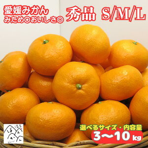 Q݂ Gi SEMEL TCY ݂߁Z  Mtg p ({쑁/승20/B݂vÂ݂ ʕ t[c  QYykCE͏zƂ΂