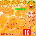 【愛媛みかん】大玉2L〜3L 10kg みため×おいしさ◎訳ありミカン(宮川早生/南柑20号)【愛媛県宇和島産】※送料無料