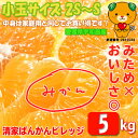 【みかん 訳あり小玉5kg】サイズ2S〜S みため×おいしさ◎(品種:宮川早生/南柑20号)【愛媛県宇和島市産】※送料無料