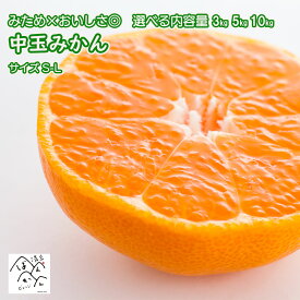 愛媛みかん 訳あり 中玉 S M Lサイズ 3kg 5kg 10kg みため×おいしさ◎ 早生みかん 南柑20号 甘いみかん 果物 フルーツ 蜜柑 愛媛県産【送料無料※北海道・沖縄は除く】清家ばんかんビレッジ
