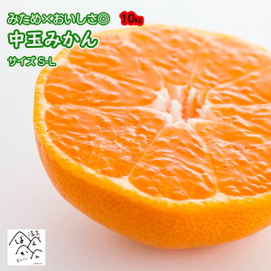 y10%OFFN[| }\Ԓzy\ 11{`{zQ݂ 󂠂  S M LTCY 3kg 5kg 10kg ݂× ݂ 승20 Â݂ ʕ t[c  