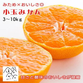 小玉みかん 2S~S みため×おいしさ◎ 甘さと酸味のおいしさが凝縮 訳あり 宮川早生/南柑20号/温州みかん 甘いみかん 果物 フルーツ 蜜柑 愛媛県産【送料無料※北海道・沖縄は除く】清家ばんかんビレッジ