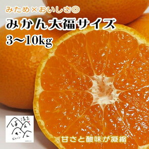 ݂啟TCY 3S ʂ݂ 󂠂 ~JE승20 t[c aَq Ɩp Z[ ʕ ÂƎ_̂Ïk QYykCE͏z