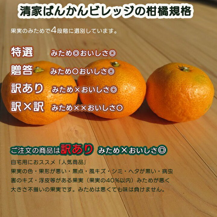 楽天市場】愛媛みかん大玉 訳あり10kg 2L〜3L みため×おいしさ◎ 温州みかん 早生ミカン 南柑20号 お買得 果物 フルーツ 産地直送  お取り寄せ【送料無料※北海道・沖縄は除く】清家ばんかんビレッジ : 清家ばんかんビレッジ