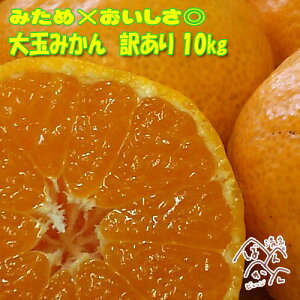 y|Cg10{}\Ԓzʂ݂ 2L`3L Q݂ ݂× {쑁/승20/B݂ 󂠂 Â݂ ʕ t[c  QYykC