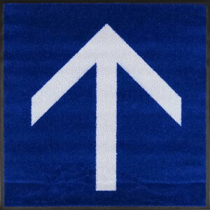 }bgi600×600mmjTt@CAu[Ep[O[y󒍐Yzs