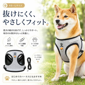 犬 ハーネス リードセット 小型犬 中型犬 猫 胴輪 メッシュ 軽量 通気性 反射材 夜間 散歩 抜けにくい 簡単装着 サイズ調整 かわいい おしゃれ 犬用ハーネス ペット用品 XS〜XL 子犬 柴犬 チワワ トイプードル 首の負担軽減 アウトドア おしゃれ かわいい カラフル