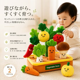 モンテッソーリおもちゃ 男の子 女の子 果物 にんじん抜き 知育玩具 音のなる 教育 玩具 はめこみ 形合わせ パズル 積み木 つみき 知育ボックス おままごと 大小