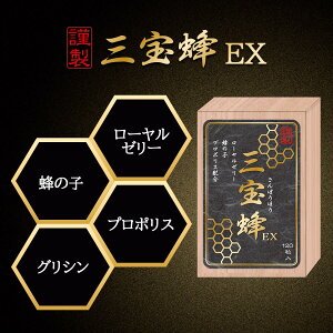 OIEX 120 [[[ v|XGLX n`mR I̎q OV ݓn閈T|[g