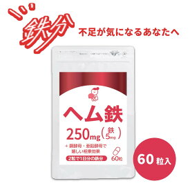 【11/20 20時～ 4時間限定★半額クーポン！】 ヘム鉄 約1ヶ月分 (60粒入) 1日2粒で1日分の鉄分 鉄不足 女性 サプリメント 鉄分補給 ミネラル 元気 肌荒れ改善 鉄分 妊婦 亜鉛 銅 健康食品 送料無料 誠輝堂