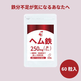 【10/9 1:59まで クーポン利用で15％OFF！】ヘム鉄 約1ヶ月分 (60粒入) 1日2粒で1日分の鉄分 鉄不足 女性 サプリメント 鉄分補給 ミネラル 元気 肌荒れ改善 鉄分 妊婦 亜鉛 銅 健康食品 送料無料 誠輝堂
