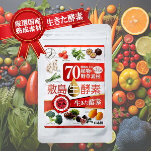 y10/4 20` 撅10l 90OFFN[|z ~yf yfTvg 30(60) Yf S Ăyf yf h{̕΂ sKȐ ؕs h{s Z