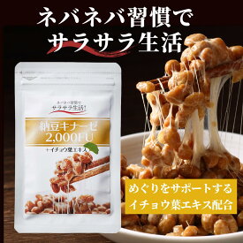 ナットウキナーゼ サプリ【納豆キナーゼ2000FU】 送料無料 約1ヶ月分 60粒入 納豆菌 健康 生活習慣 イチョウ葉エキス めぐりをサポート ソフトカプセル 誠輝堂