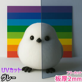 ポリカーボネート板 2mm グレー フリーカット 切り売り 5,000円/1平米 UVカット 紫外線 両面耐候 カーポートなどに