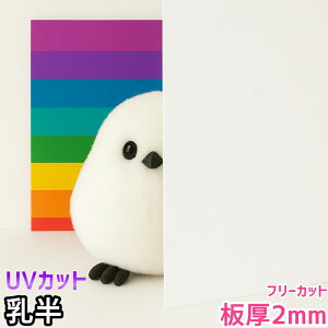 |J[{l[g 2mm  t[Jbg ؂蔄 5,300~/1 UVJbg O ʑό J[|[gȂǂ