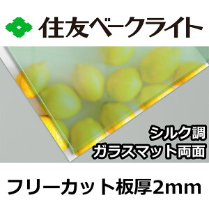 ZF |J[{l[g 2mm VNKX}bg t[Jbg ؂蔄 5,420~/1 UVJbg O ʑό KX J[|[gȂǂ