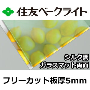 ZF |J[{l[g 5mm VNKX}bg t[Jbg ؂蔄 16,700~/1 UVJbg O ʑό KX