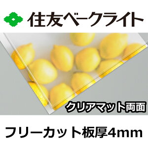 ZF |J[{l[g 4mm NA}bg t[Jbg ؂蔄 10,010~/1 UVJbg O ʑό J[|[gȂǂ