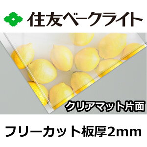 ZF |J[{l[g 2mm NA}bgЖ t[Jbg ؂蔄 5,010~/1 UVJbg O ʑό J[|[gȂǂ