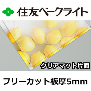 ZF |J[{l[g 5mm NA}bgЖ t[Jbg ؂蔄 15,200~/1 UVJbg O ʑό