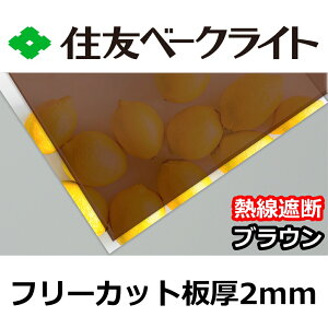 ZF |J[{l[g 2mm MՒfuE t[Jbg ؂蔄 6,500~/1 UVJbg O ԊO ʑό J[|[gȂǂ