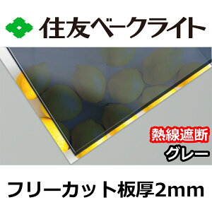 ZF |J[{l[g 2mm MՒfO[ t[Jbg ؂蔄 6,500~/1 UVJbg O ʑό J[|[gȂǂ