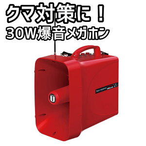 30W ^Kz TCt F΍ N}΍ hƃuU[ hƃA[ ً}x񑕒u