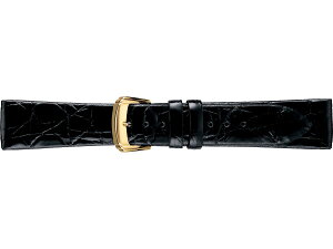 yKizZCR[oh SEIKO BAND 19mm ZCR[ ւxg TChjitXdāj amp F DA31yԕiszylR|Xz