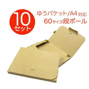 �y10���Z�b�g�z�y���{���z�䂤�p�P�b�g �_���{�[�� 60�T�C�Y 305×220×30 �i�{�[�� �� ��z �X�� �N���b�N�|�X�g �Ή� ����3cm A4�T�C�Y ���^ �_���{�[���� �i�{�[���� �������� HAC020YPSET10