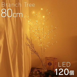 NX}Xc[  u`c[80cm gF 2g  }c[ Cg LED C~l[V  k CeA  zCg e[u k[hc[ u`Cg  dr