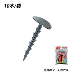 yő10OFFN[|zV[g 10{ V[gs _Ɨp }`V[g hV[g x AJ[s | ł ł₷ ϏՌ HIPS |X` Đ