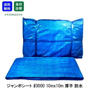 【27日9時59分まで 5%OFF】ブルーシート 防水 厚手 #3000 10m x 10m 1枚 ジャンボシート 敷物 台風対策 花見 養生 レジャー アウトドア 雨よけ 運動会 家庭菜園 DIY作業 工具 大工 現場