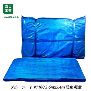 yő10OFFN[|zh u[V[g h 3.6m x 5.4m 1 y #1100 W[V[g 唻 傫 ~ 䕗΍ Ԍ { W[ AEghA J悯 ^ ƒ؉ DIY H 