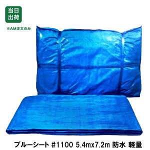 yő10%OFFN[|zu[V[g@h@5.4m x 7.2m@1@yʁ@#1100@~@䕗΍@Ԍ@{@W[@AEghA@J悯@^ ƒ؉ DIY H H 