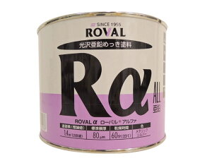 yő10OFFN[|z[o@At@[@0.7kg@WNyCg@h@߂@[oAt@@ROVAL@ܗL92@^bN@Vo[@@Tr~߁@15605