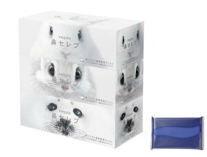 lsA @Zu eBV 400(200g)×3 + 悻 ێ\tgpbNeBV |PbgC 150(50g) z