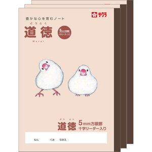 TNNpX wK  5mm \[_[ B5 Ē×S fUC  3 NP121(3)