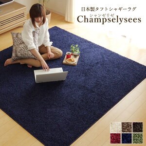 { h O}bg ` u V[[ v 130×190cm { R hL h_j ^tgO VM[O [}bg n O J[ybg zbgJ[ybgΉ zbgJ[yb