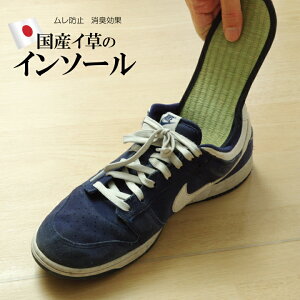  C\[ R L u C\[ v : lCr[ 17cm 18cm 19cm 20cm 21cm 22cm 23cm 24cm 25cm 26cm 27cm 28cm 29cm 30cm 31cm 32cm fB[X Y C ~ Xj[J[ { Mtg