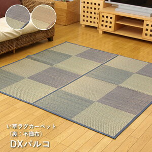 J[ybg u DXpR v ]ˊ8(348×352cm) u[AuE ~ ~ J[ybg ~   C    O