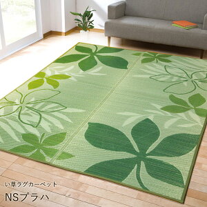 ʊ~߉H OJ[ybg u NSvn v TCYF191×191cm J[FuE(#8163520)AO[(#8163570) O  O J[ybg  t [t  ` 2