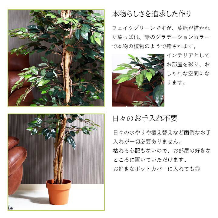 楽天市場】【送料無料】フェイクグリーン フィカス 1124A[fbc] 幅90x 