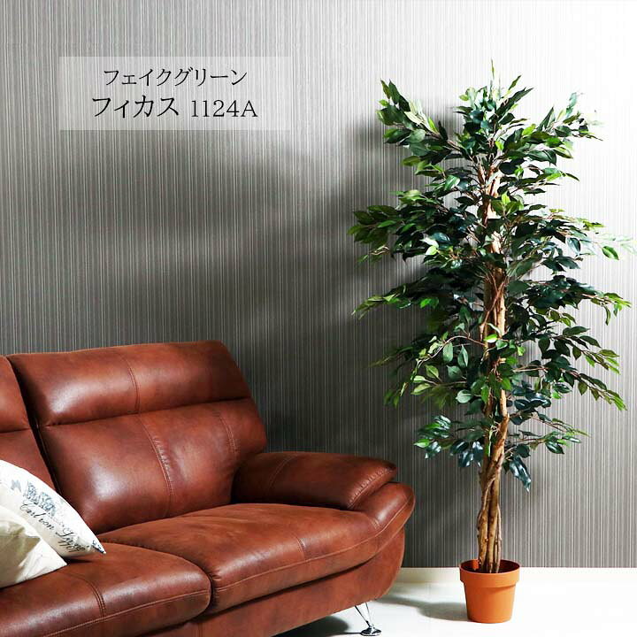 楽天市場】【送料無料】フェイクグリーン フィカス 1124A[fbc] 幅90x 