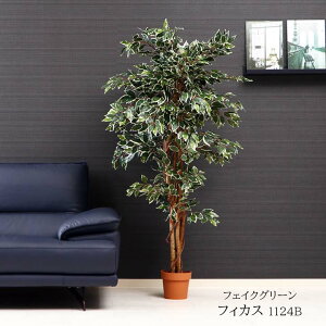 tFCNO[ tBJX 1124B[fbc] 90xs90x170cm lHA tFCN C~e[V tBJX [t ϗtA t O[ CeA    fBXvC A |b