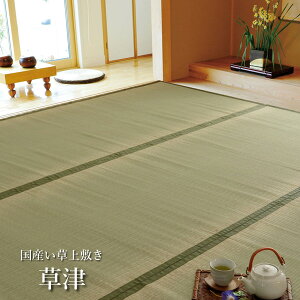  6 ~ J[ybg Yu  v TCYF{6i286×382cm)(#1110686) ~ ~ ~   C    O