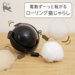 [Ɠ] [O L炵 CTY-22032TCYF20×21 cm d lV ˂炵 Lpi   ^ Lp XgX ybg ] ]